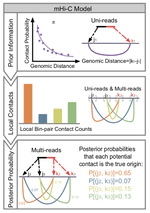 Repetitive Regions of Genomes