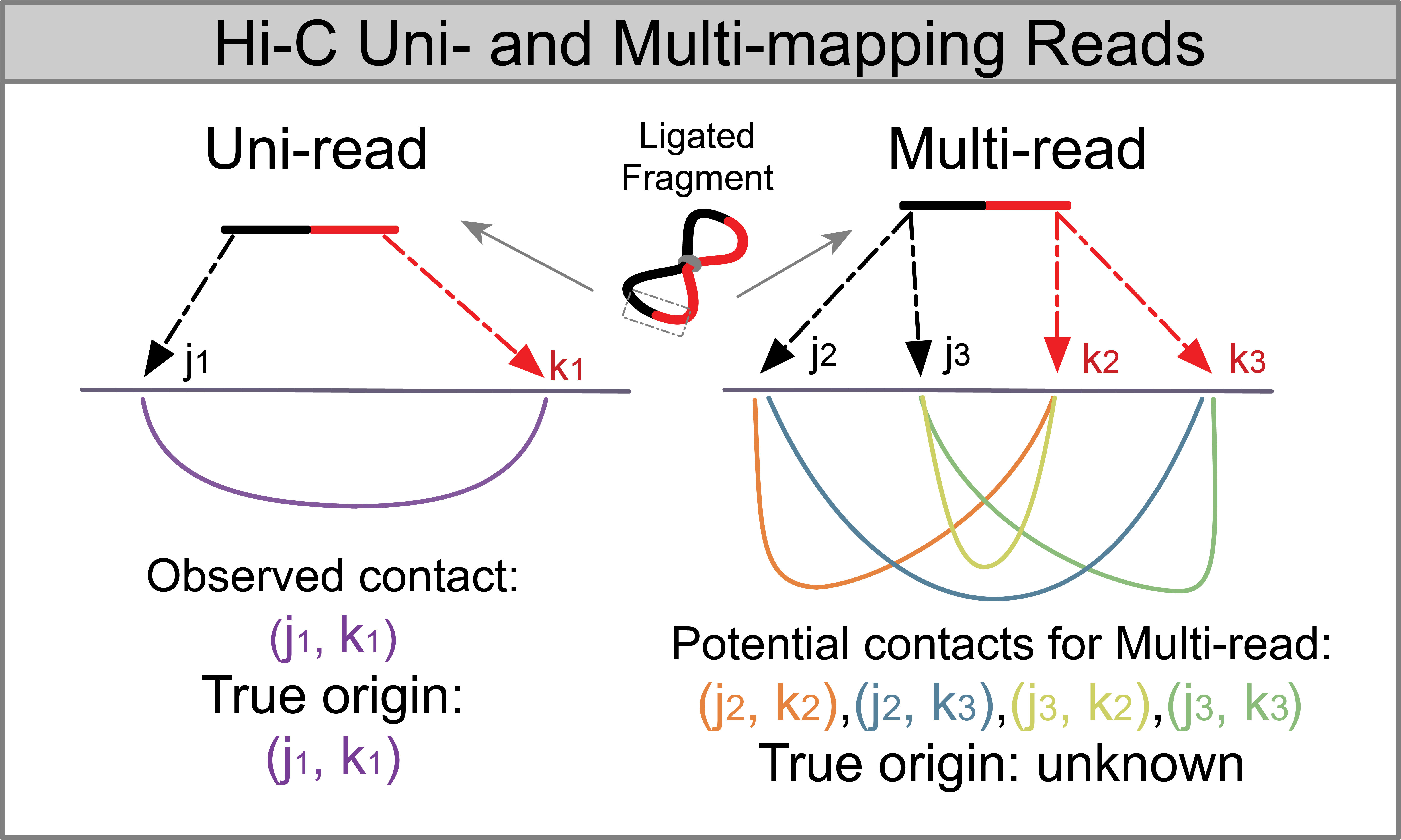 Generative Modeling of Multi-mapping Reads with mHi-C Advances Analysis ...