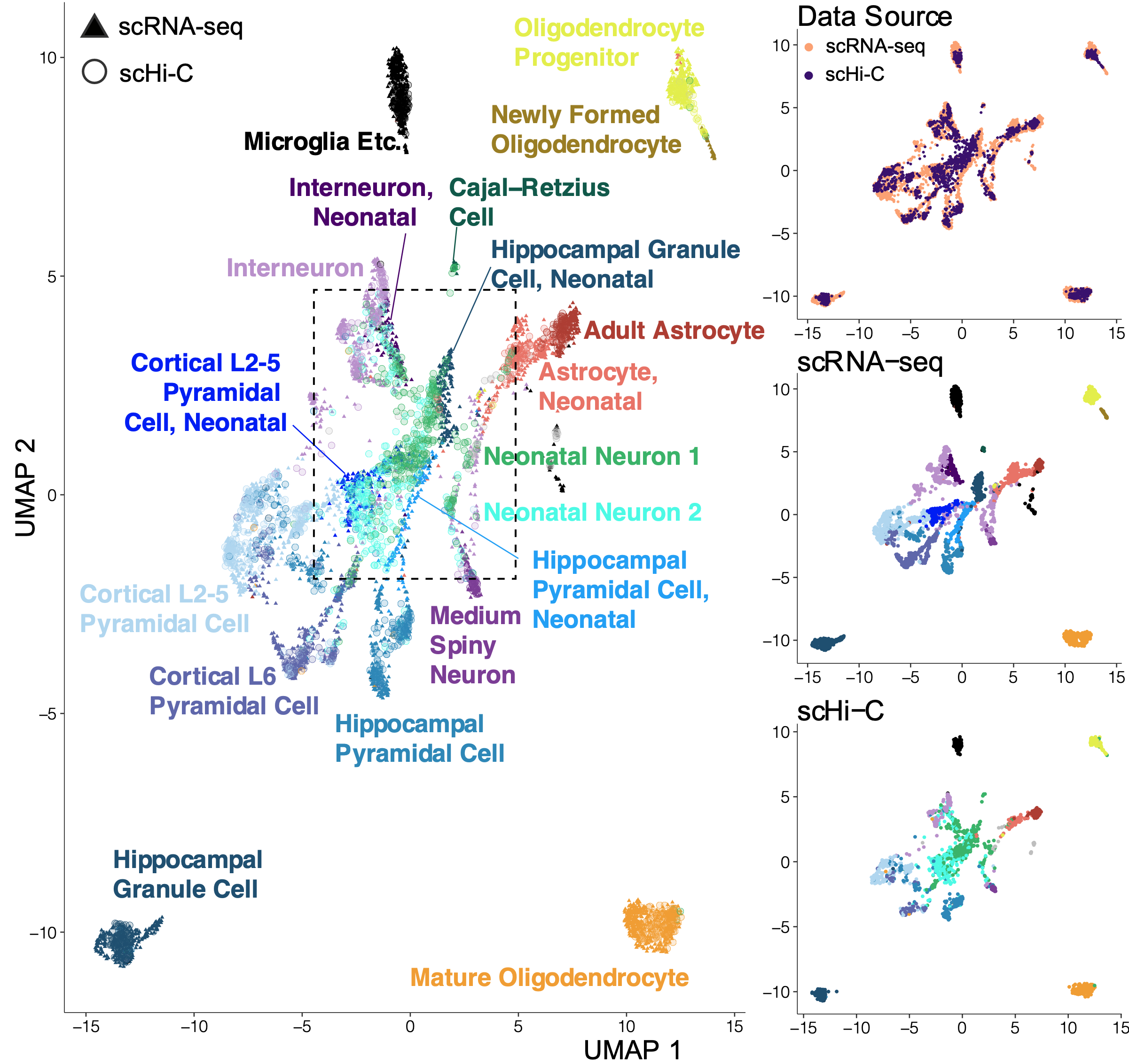 Scgraph scGAD: single-cell gene associating domain scores for exploratory ...